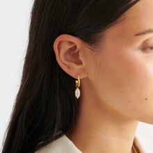 Load image into Gallery viewer, Pearl Lustre Hoop Earrings in Pearl &amp; Gold