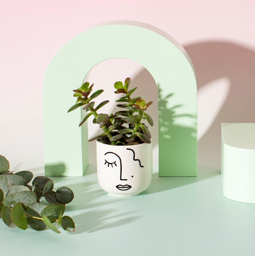 Abstract Face White Mini Planter